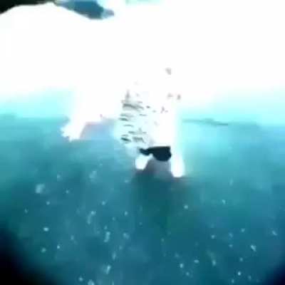 Valoren mas la vida, si creen en allah tendran otra