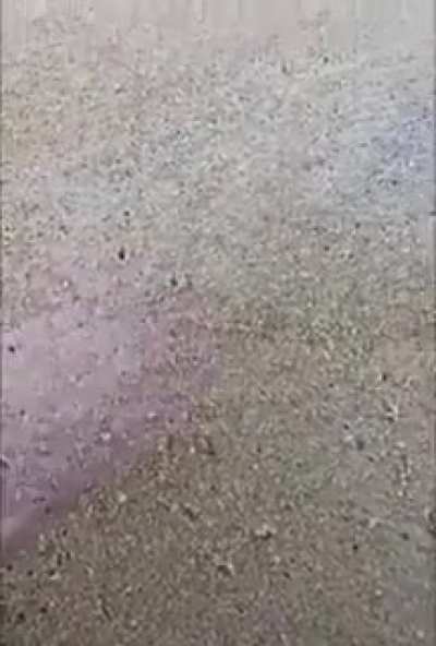 🦀🦀🦀