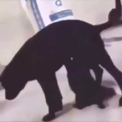 hmmm