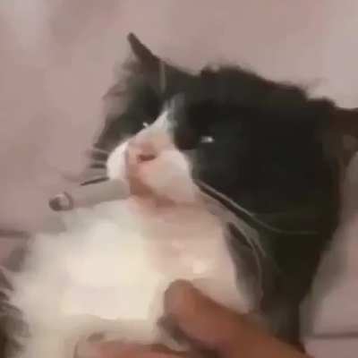 Ok