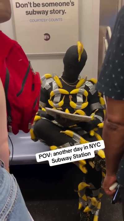 🗣️🗣️P<wbr>lease refrain from degeneracy on public transport 🔥🔥