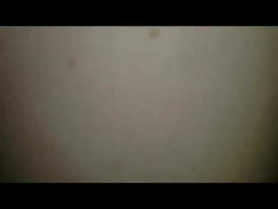 Best video we took