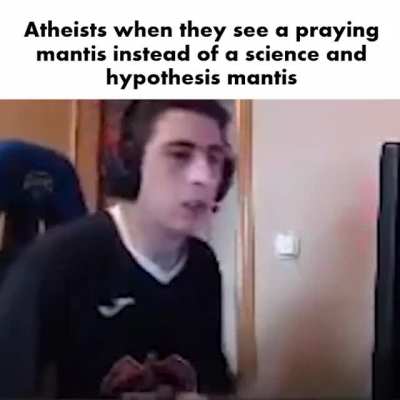 🙏mantis deez nuts🗿