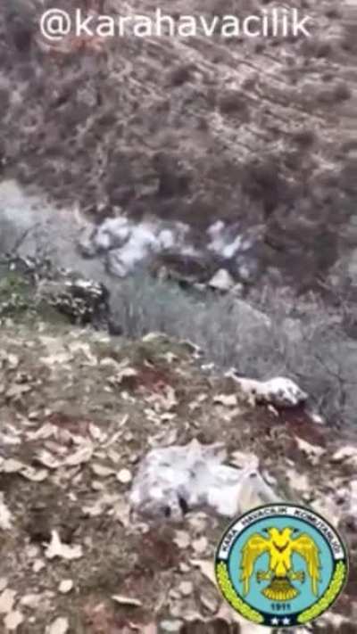 Turkish Cobra helicopters target PKK hideouts in southeastern Turkey