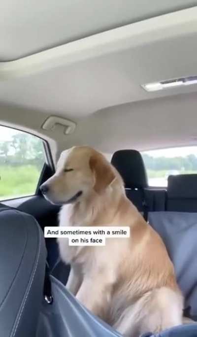 Woof_irl