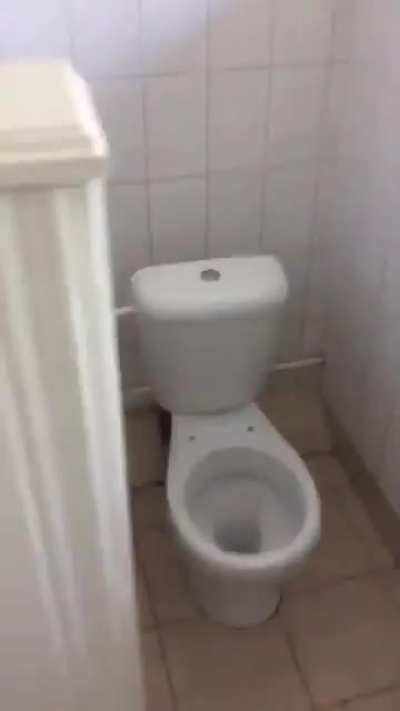 Pee