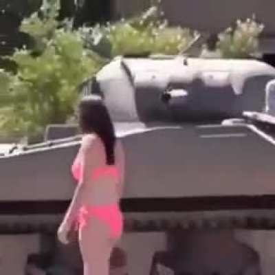 Alpha male