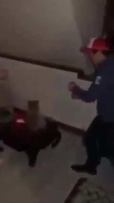 Друзья они такие