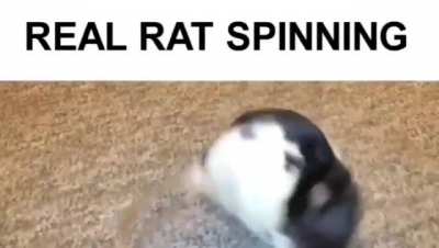 NO FUCKING WAY