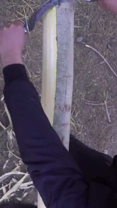 Peeling wood