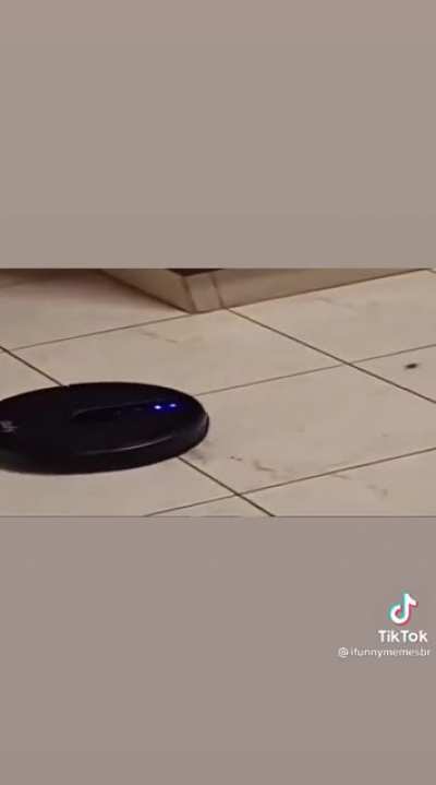D: