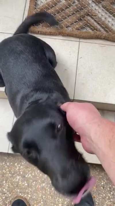 She knows what she wants.