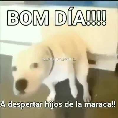 Buenas lic.