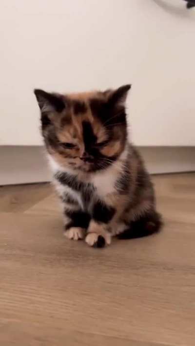 Smol is not eepy
