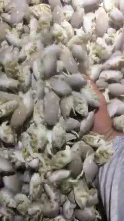 Hmmm