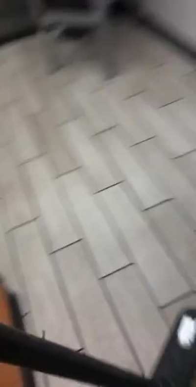 Spider 🕷️ vs Broom 🧹
