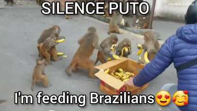 act of solidarity 🇧🇷🇧🇷🥰 c=