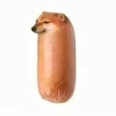 What am i doing with my life