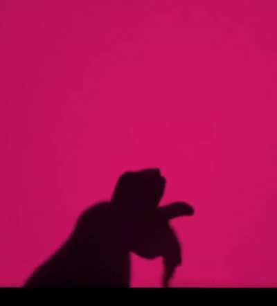 Shadows dropping Tea