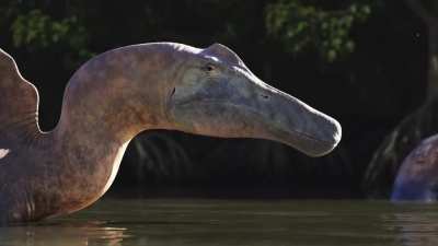 Sleepy Spinosaurus