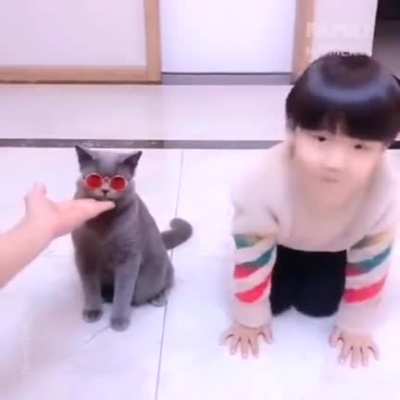 Cat vs baby