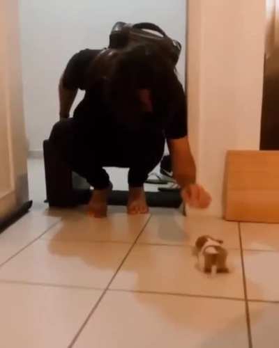 Cuteness overload