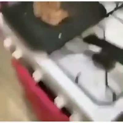 XD