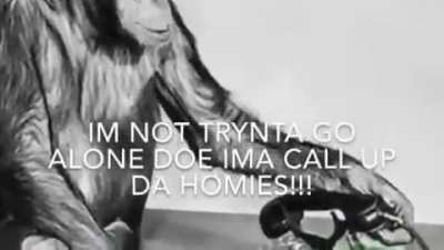 Supa monky sunday