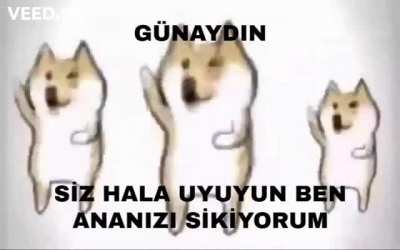 G&Uuml;NAYDIN KEYCİBİ HULKİ