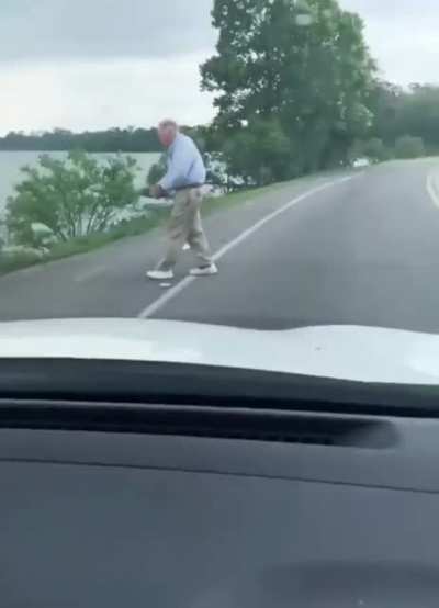 Stopping traffic to get a turtle off the road