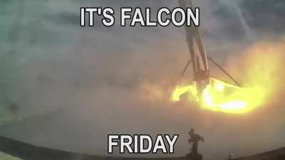 It's Friday my dudes!