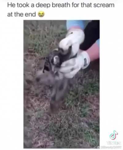 I hate tik tok but&hellip;.