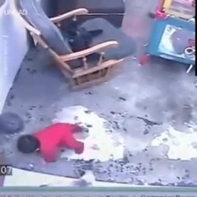 This Quick Thinking Cat saved the life of little kid!
