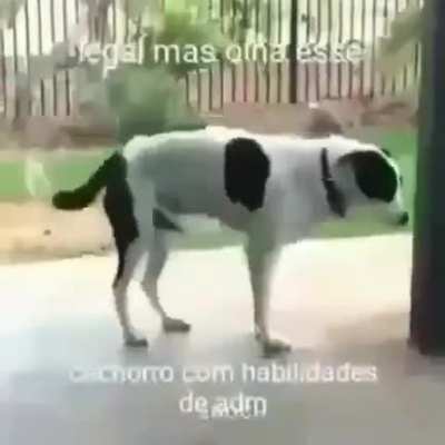 N&atilde;o existe