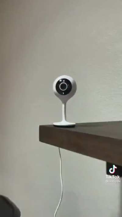 ILPT Camera blocking glasses