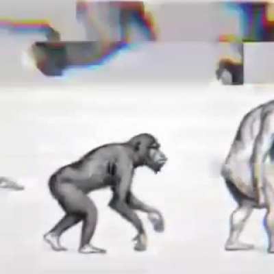 mi teoria de la evolucion XD