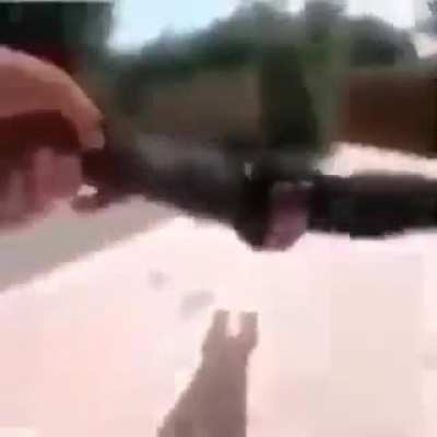 mono