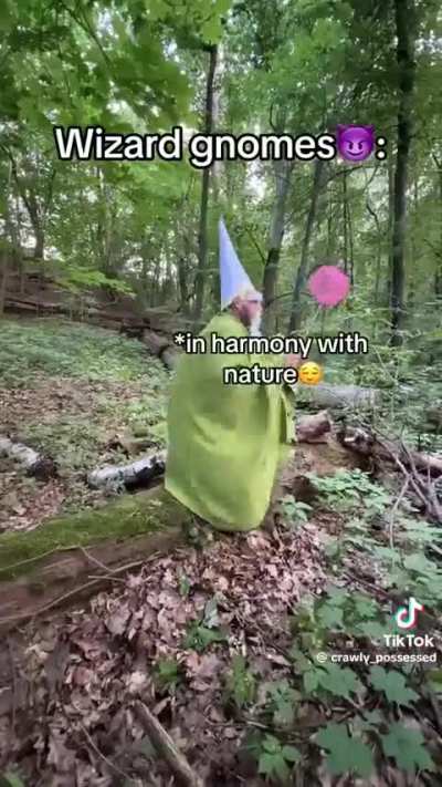 Losercity People vs Gnome Kingdom Scholars 🧙&zwj;♂️🧙&zwj;♂️