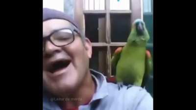 Parrot be like "yum"