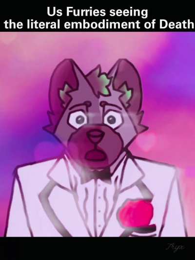 Furry_irl