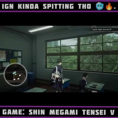 The Average Persona Fan
