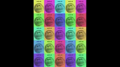 monke orb 3: vietnam