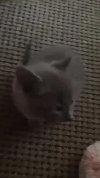 MEEEEEEEEE