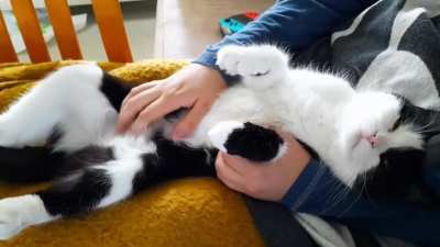 Scritch scritch