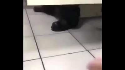 HEY