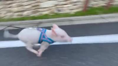 I am speed