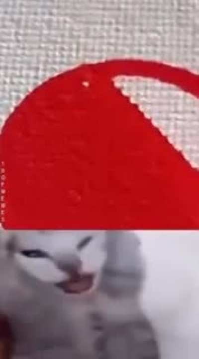 I'm 15 and this is yeet
