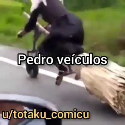 Pedro...