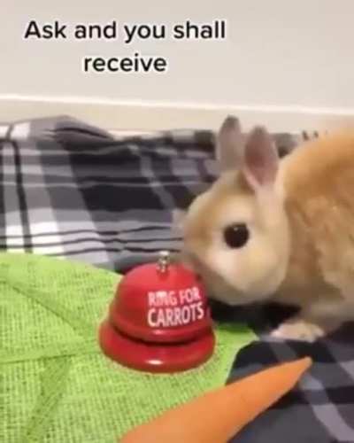 Ring bell for carrot