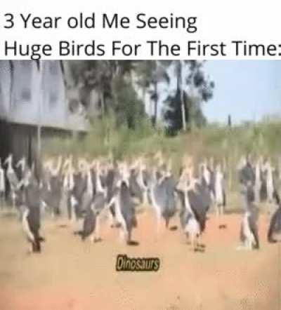 D &zwnj; &zwnj; &zwnj; &zwnj; &zwnj; &zwnj; &zwnj; &zwnj; &zwnj; &zwnj; I &zwnj; &zwnj; &zwnj; &zwnj; &zwnj; &zwnj; &zwnj; &zwnj; &zwnj; &zwnj; N &zwnj; &zwnj; &zwnj; &zwnj; &zwnj; &zwnj; &zwnj; &zwnj; &zwnj; &zwnj; O &zwnj; &zwnj; &zwnj; &zwnj; &zwnj; &zwnj; &zwnj; &zwnj; &zwnj; &zwnj; S &zwnj; &zwnj; &zwnj; &zwnj; &zwnj; &zwnj; &zwnj; &zwnj; &zwnj; &zwnj; A &zwnj; &zwnj; &zwnj; &zwnj; &zwnj; &zwnj; &zwnj; &zwnj; &zwnj; &zwnj; U &zwnj; &zwnj; &zwnj; &zwnj; &zwnj; &zwnj; &zwnj; &zwnj; &zwnj; &zwnj; R &zwnj; &zwnj; &zwnj; &zwnj; &zwnj; &zwnj; &zwnj; &zwnj; &zwnj; &zwnj; S